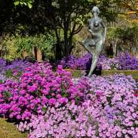 🌿 Near-Seoul Oxygen Boost at Jade Garden!🌼