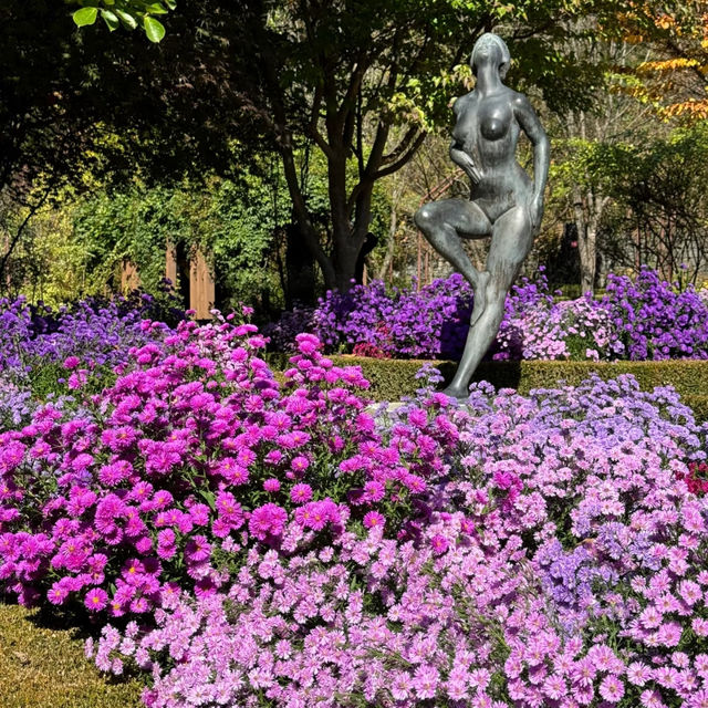 🌿 Near-Seoul Oxygen Boost at Jade Garden!🌼