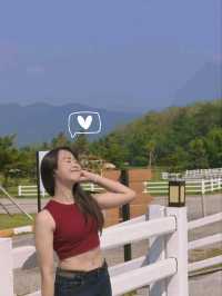 ISBJORN Chiang Dao คาเฟ่ที่สายถ่ายรูปห้ามพลาด