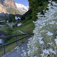 🇨🇭✨ สวิตเซอร์แลนด์ – ดินแดนในฝันที่มีอยู่จริง 🏔️