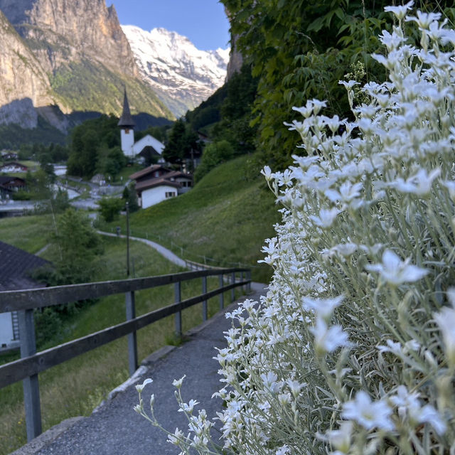 🇨🇭✨ สวิตเซอร์แลนด์ – ดินแดนในฝันที่มีอยู่จริง 🏔️