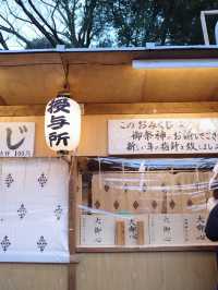 【明治神宮】都会の真ん中で、心が洗われる森へ🌿⛩️
