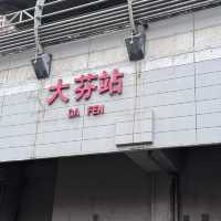 Shenzhen 3-Day Cultural & Food Adventure