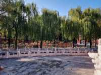 The Dragon's Sanctuary: Unveiling the Forbidden City