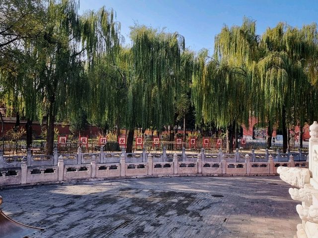 The Dragon's Sanctuary: Unveiling the Forbidden City