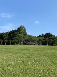 想不到深圳中山公園是這麼吸引的！！