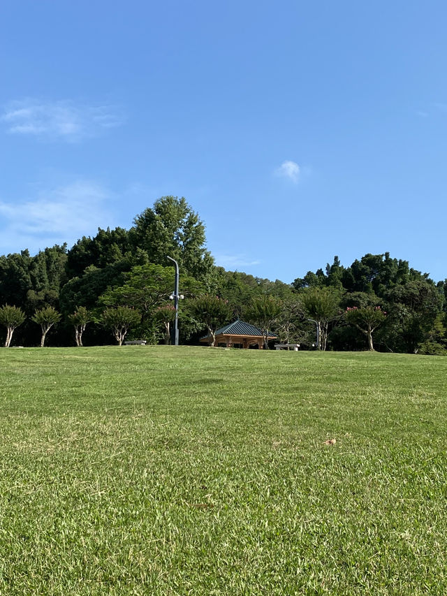 想不到深圳中山公園是這麼吸引的！！