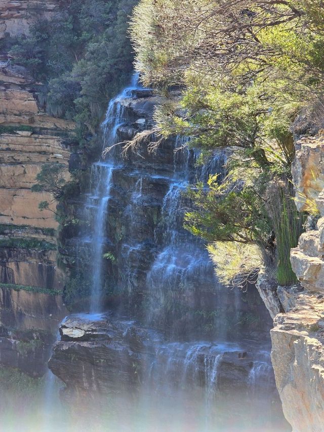 พาชมน้ำตก Wentworth Falls หนึ่งในน้ำตกสวย