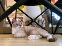 Wonloop Specialty Coffee โพธาราม