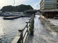 Sea passion hotel