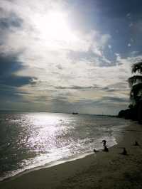 The Beach