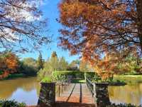 Hunter Valley – NSW