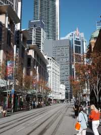 🇦🇺 Beginning of Winter in Sydney