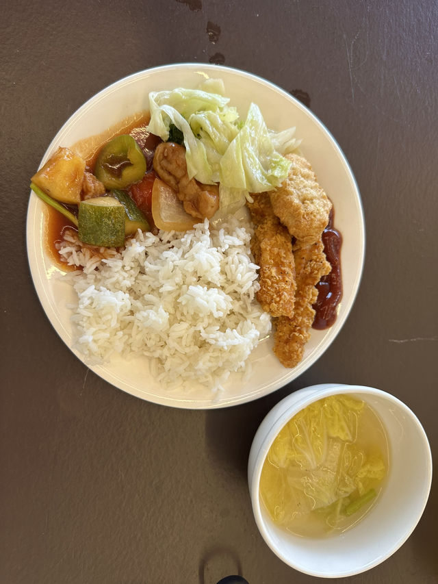 🐘코끼리랑 놀아볼래?🇹🇭