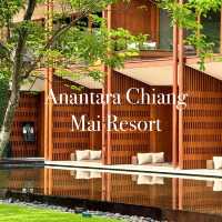 Chiang Mai Must-Stay! 🤩 Anantara Chiang Mai Resort