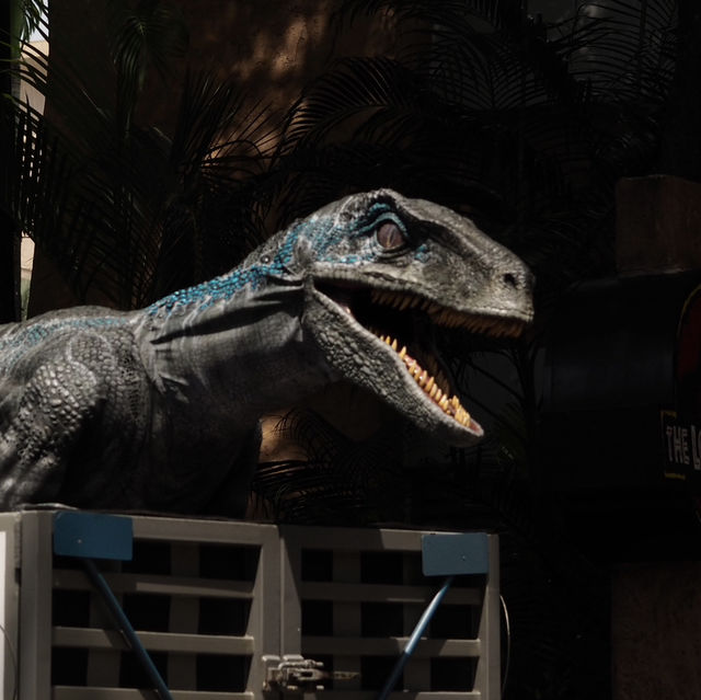 Must-visit places in Universal Studios Singapore