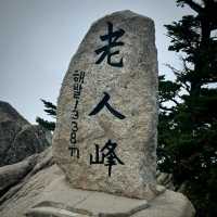 Odaesan Forest