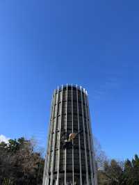 🏛️【神奈川・箱根 彫刻の森美術館】自然と芸術が出会う、遊び心満載のアート散歩 