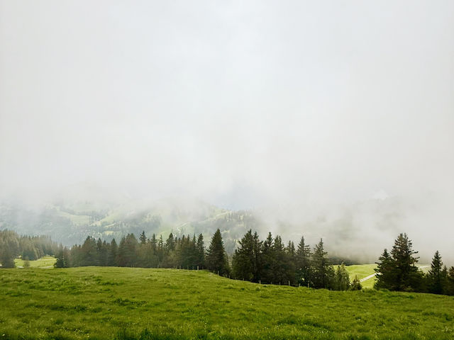 Rigi by Rail – A Peaceful Ascent with Epic Views