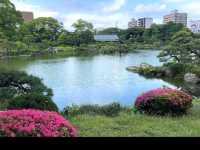🍃【東京・清澄公園＆庭園（清澄庭園）】下町に息づく自然と歴史、静かな四季の贅沢パークステイ