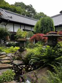 木に会いに行く旅って、ちょっと素敵だと思いませんか？🇯🇵✈️🌎 