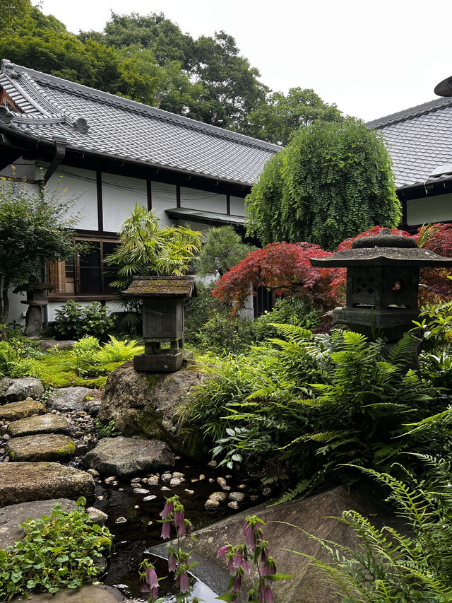 木に会いに行く旅って、ちょっと素敵だと思いませんか？🇯🇵✈️🌎 