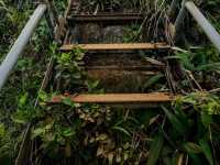 THE STAIRWAY TO HEAVEN  in OAHO HAWAII 