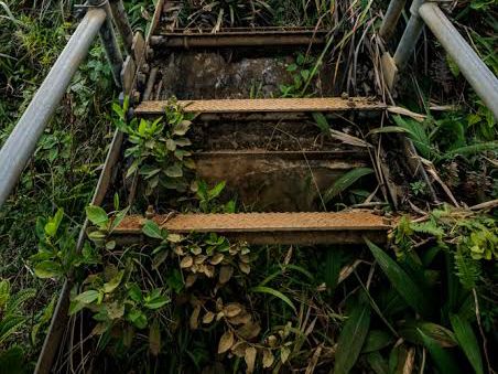 THE STAIRWAY TO HEAVEN  in OAHO HAWAII 
