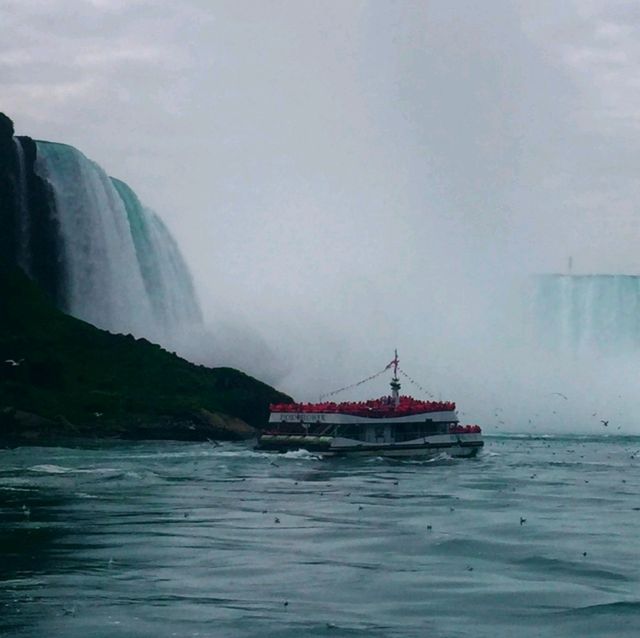 พาล่องเรือ Maid of The mist ในวันในตก