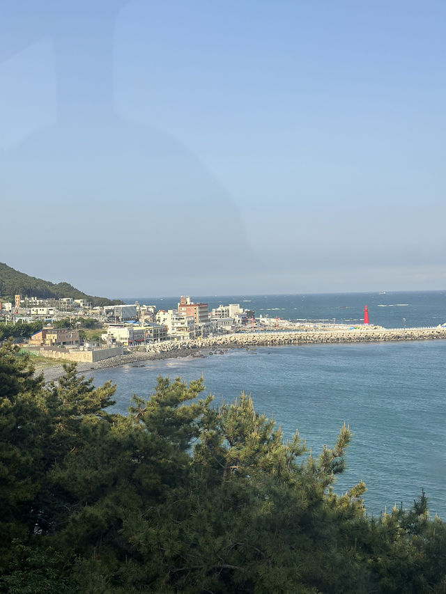 韓國🇰🇷 - 釜山海雲台天空膠囊列車