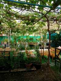 บ้านองุ่น Coffee