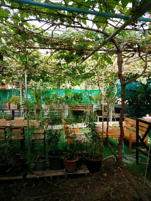 บ้านองุ่น Coffee