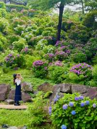 【神奈川】ワンちゃんと行ける紫陽花スポット！