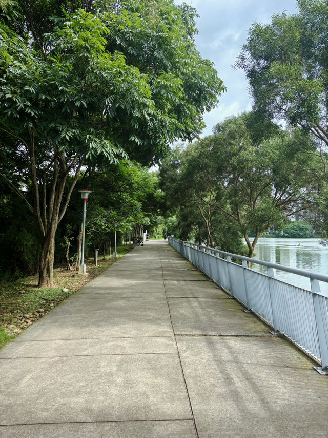 🌿桃園夜鷺生態埤塘｜都市裡的靜謐綠洲，散步療癒又觀鳥