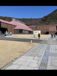 🖼【福島・福島市】福島県立美術館｜東北の自然とアートが出会う場所で静かな感性の旅を