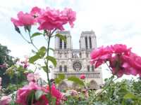 parisに行ったら絶対行って！絶景ディナークルーズ