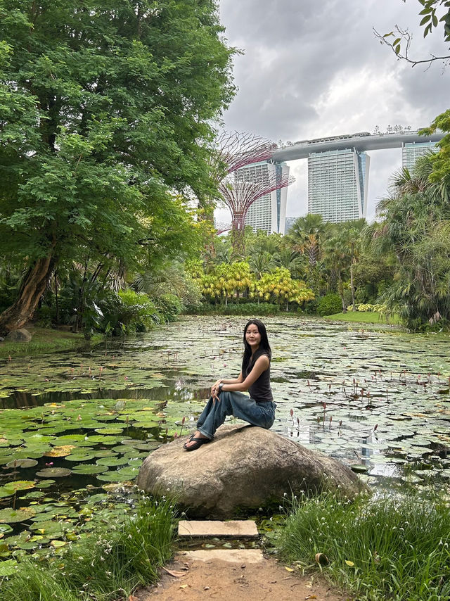 싱가포르 여행 🇸🇬