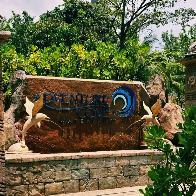 新加坡聖淘沙水樂園遊玩攻略,適合夏日打卡遊玩