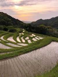 🌾日本の原風景に癒される「大山千枚田」で心洗われる旅を