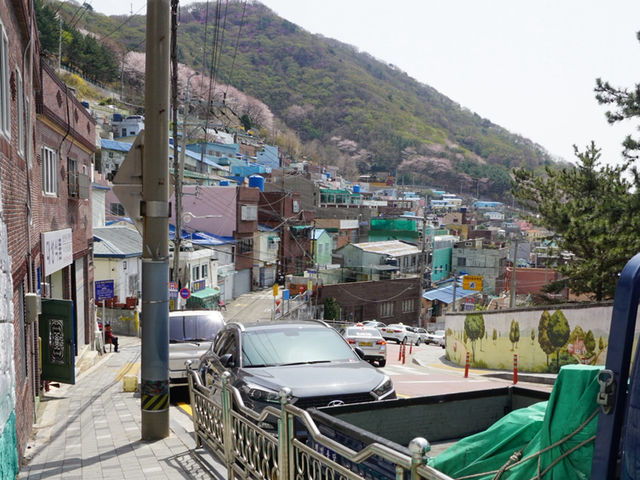 🎨 Gamcheon Culture Village – หมู่บ้านสีพาสเทล