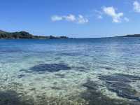 Australia - Fiji - Samoa 