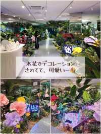 【ソウル🇰🇷東大門】美容×テクノロジーの無料エキシビション