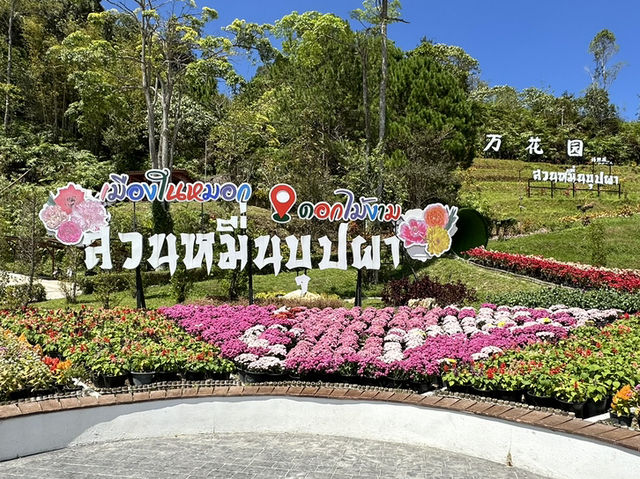 • สวนหมื่นบุปผา (หรือ สวนไม้ดอกเมืองหนาวเบตง)🌷🌻