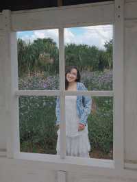 ✨Blossom Bloom Bliss – A Fairytale Café in Khao Yai