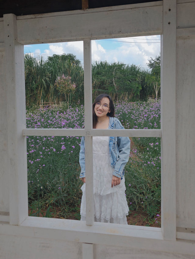 ✨Blossom Bloom Bliss – A Fairytale Café in Khao Yai