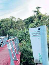 Urban Escape: The Calm of Taman Tasik Cyberjaya