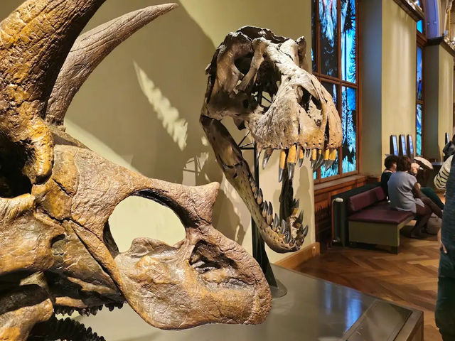 【ウィーン・自然史博物館】🦕時を超えて地球の歴史にふれる、子どもから大人まで夢中になる空間。