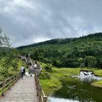 Find tranquility trekking through nature’s beauty