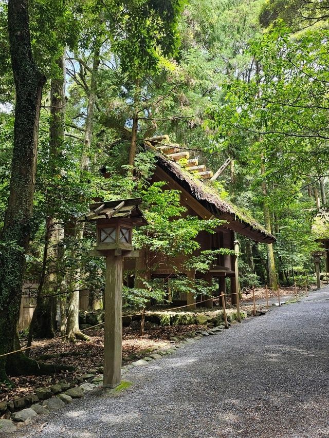 伊勢神宮洗滌心靈之旅，與自然與信仰同行⛩️🌿