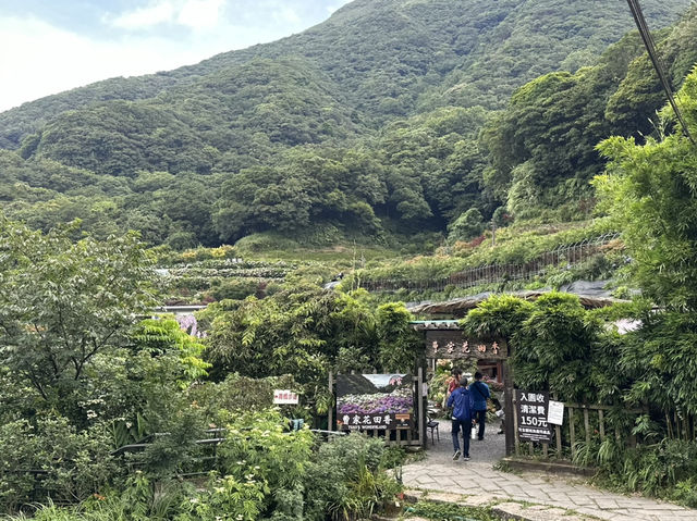 草山觀瀑吊橋。猴崁圳古道